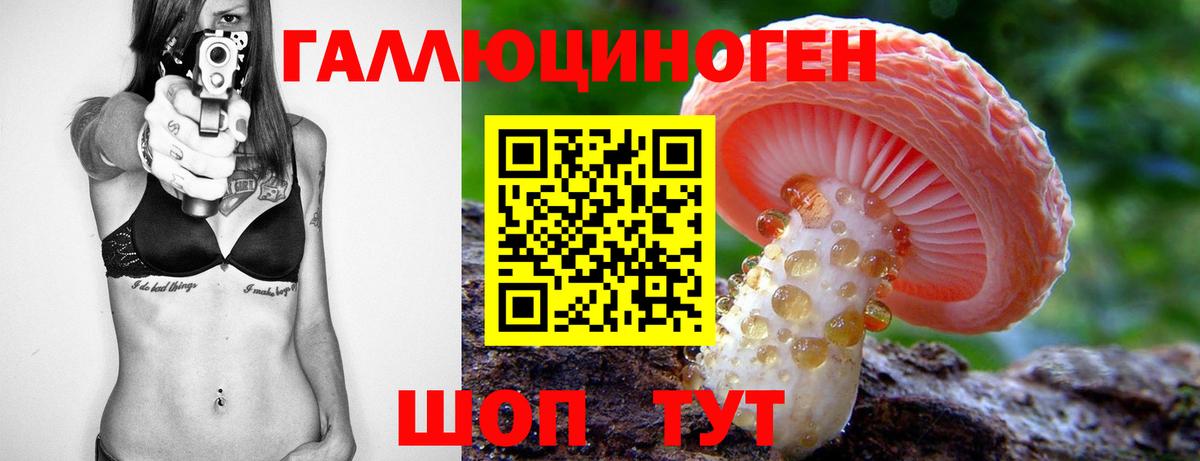 Магадан  Галлюциногенные грибы Psilocybe  Вход с VPN 